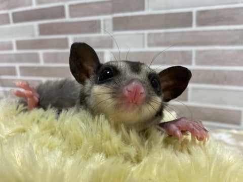 ばぁ🤗