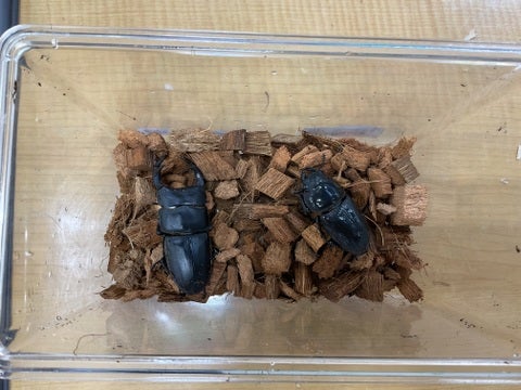 4/30撮影✨
