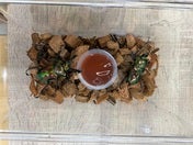 4/30撮影✨