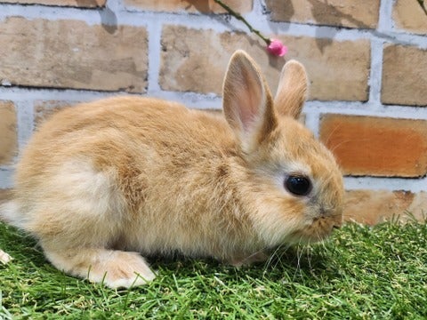 5/1撮影