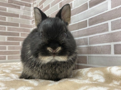 カメラ目線バッチリ👌