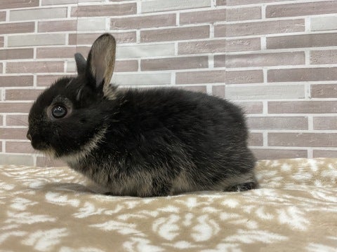 5/1撮影📸