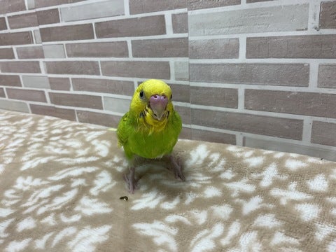 じーーーー👀