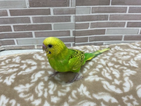 5/1撮影📸