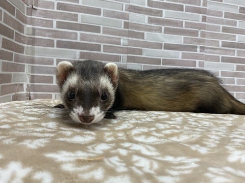 はい、ポーズ📸