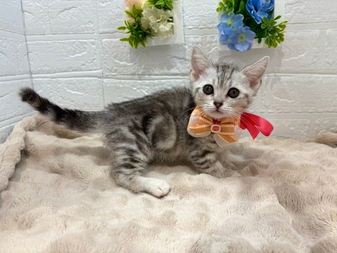 足立店だけ！ご来店ご契約で成長がわかるフォトカードプレゼント💕