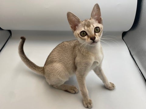 2025/05/02  とにかく元気いっぱいおてんばちゃん🐾😆💕