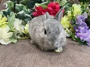 【2025/05/02撮影】手まで駆け寄ってきてくれます♡