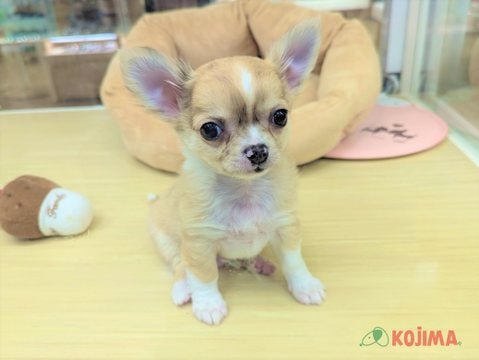 ★撮影日　2025.5.2★