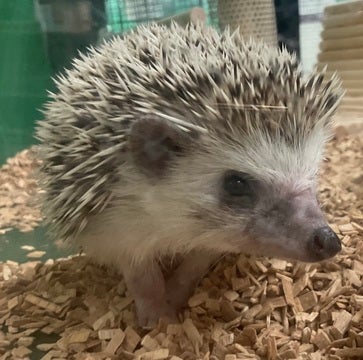 みなさまのご来店をスタッフ一同お待ちしております🫰🏻🫰🏻🐹🫰🏻🫰🏻