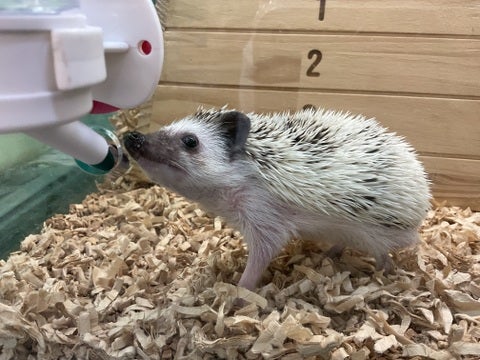 のんびり過ごしてます♡