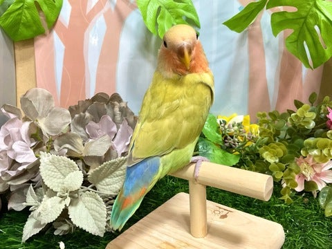 手に包まれるのが好きです♪