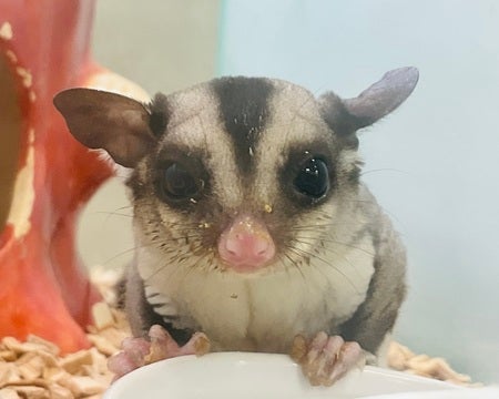 2025/4/25 撮影📸　※写真はイメージです