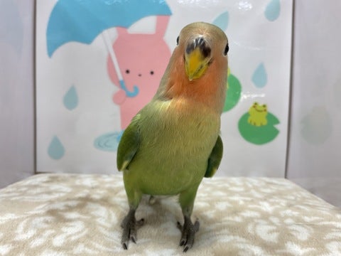 5/2撮影📸