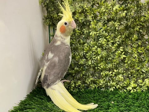 2025/5/2  撮影📸　※写真はイメージです