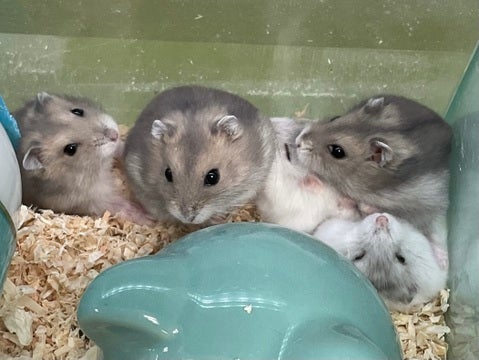 2025/5/2  撮影📸　※写真はイメージです