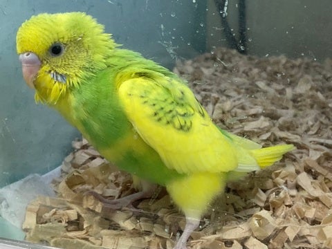 2025/5/2  撮影📸　※写真はイメージです