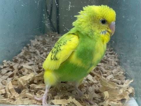 2025/5/2  撮影📸　※写真はイメージです