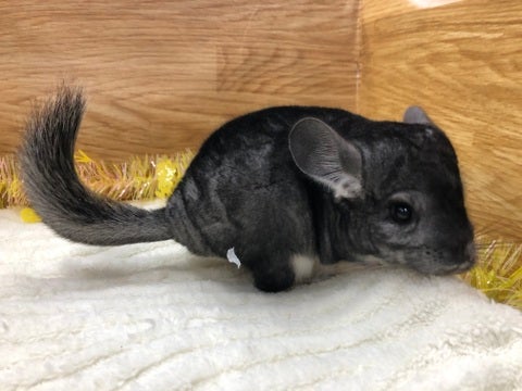 【5月2日撮影】