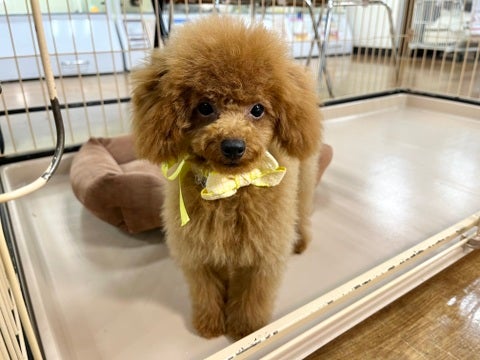 2025/5/2撮影　  カットしてフワフワになりました♪