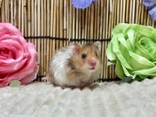 5/2撮影