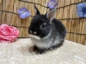 5/2撮影