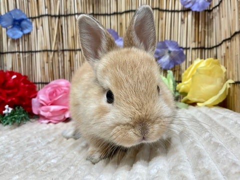 5/2撮影