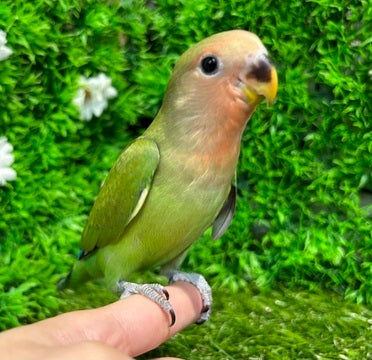 ☆5月2日撮影☆