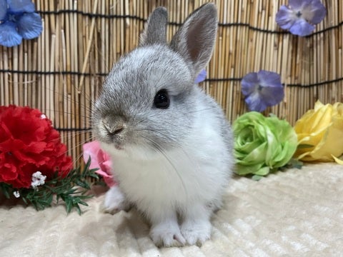 5/2撮影
