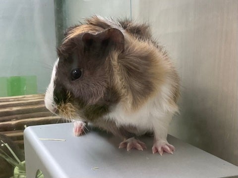 2025/5/2  撮影📸　※写真はイメージです