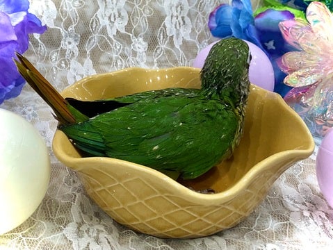 2025/05/02撮影
