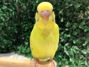 緊張してる？笑5/2