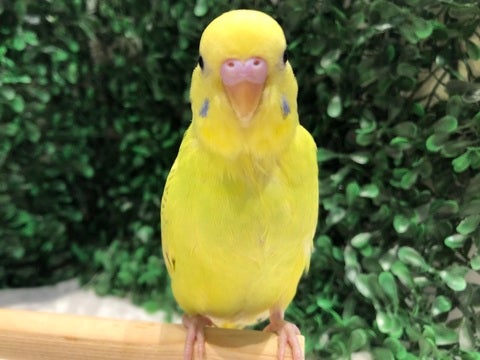 緊張してる？笑5/2