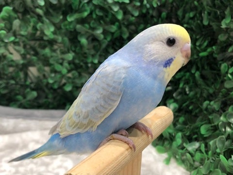 しっかりつかまっています‼️