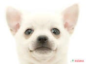 825819_ext_33_0_L.jpg