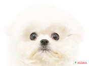 825805_ext_33_0_L.jpg