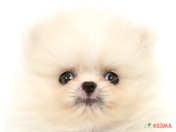 825760_ext_33_0_L.jpg