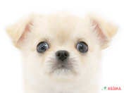 825777_ext_33_0_L.jpg