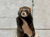 5/2撮影