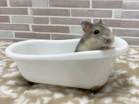 お風呂気持ち～な～💕