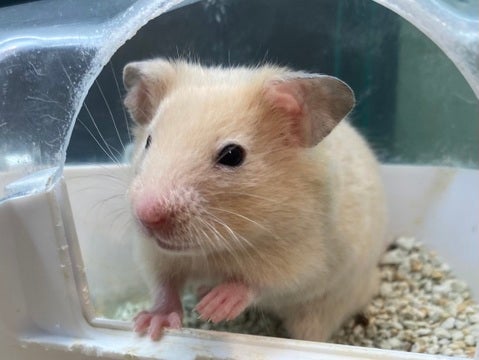 是非会いに来てください😊