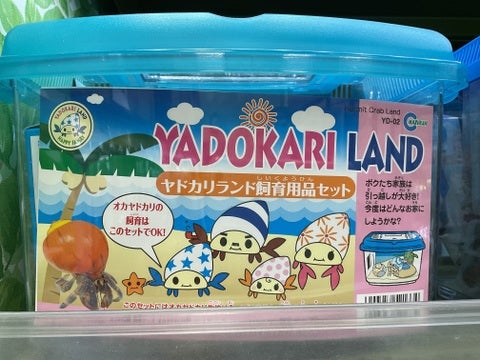 飼育セットも販売しております♪