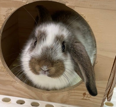 🐰🫶🏻😍ご来店お待ちしております😍🫶🏻🐰