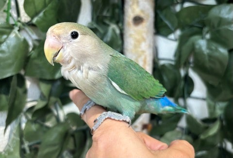 ☆5月3日撮影☆