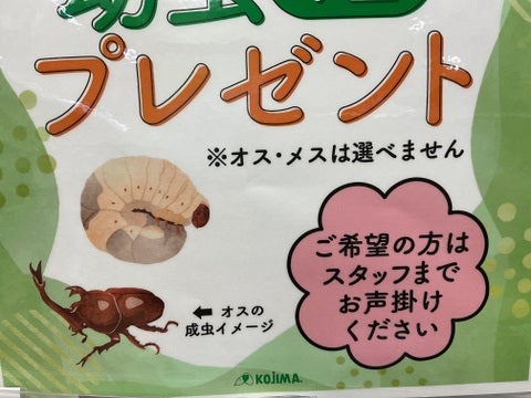 店舗スタッフにお声掛けください♪