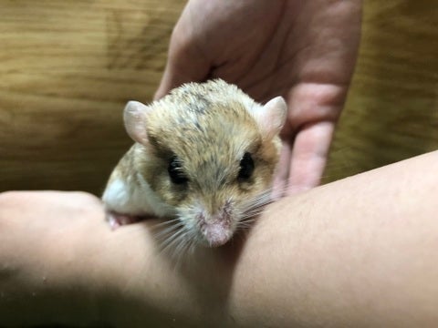 【5月4日撮影】