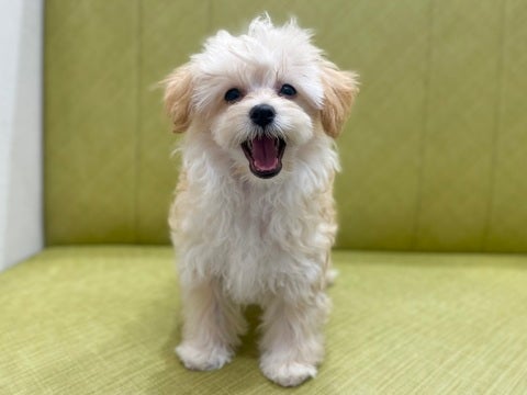 【2025/05/04撮影】ニコニコ☺️