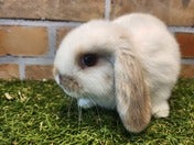 5/4撮影
