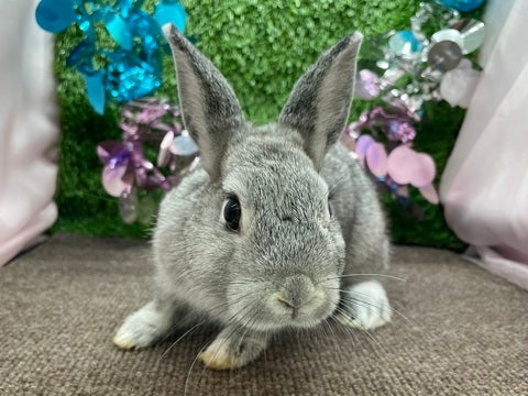 ※2025.4.26撮影しました！