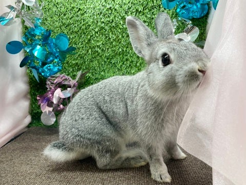 ※2025.4.26撮影しました！